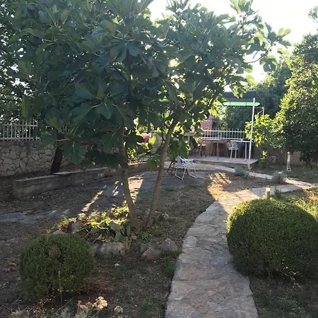 Apartment Vesna